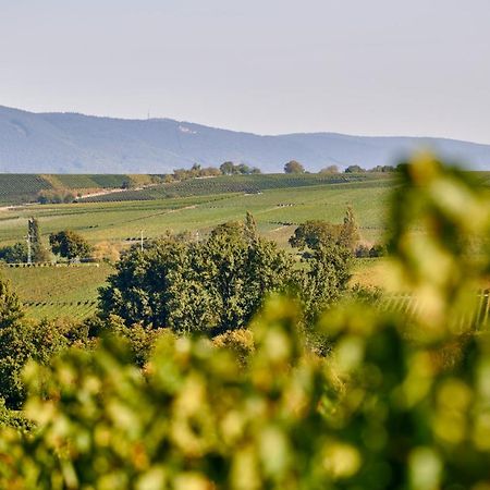 Weingasthaus Wisser Billigheim-Ingenheim 외부 사진
