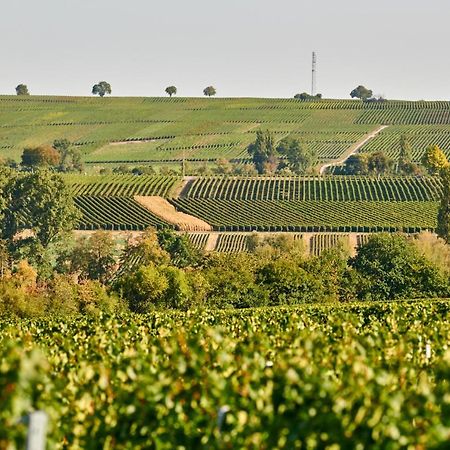 Weingasthaus Wisser Billigheim-Ingenheim 외부 사진