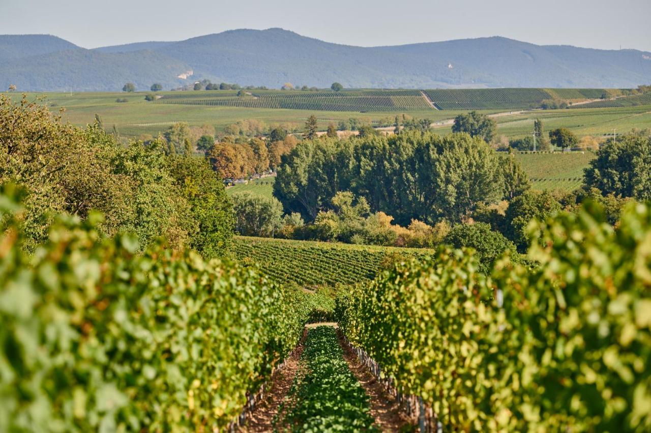 Weingasthaus Wisser Billigheim-Ingenheim 외부 사진